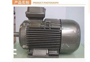 江蘇揚(yáng)州西門(mén)子電機(jī)工廠 卓越品質(zhì)，正品直銷(xiāo)，全國(guó)包郵