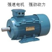 國(guó)標(biāo)全銅線，動(dòng)力強(qiáng)勁之選 臺(tái)州強(qiáng)速Y180L-6 15KW三相異步電動(dòng)機(jī)深度解析